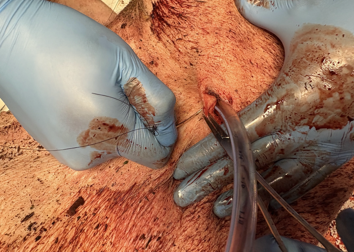 RDCR training scenario 2